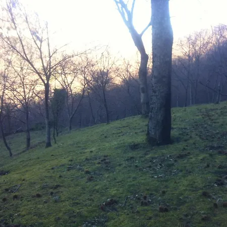 Silvia 3* Acquasanta Terme