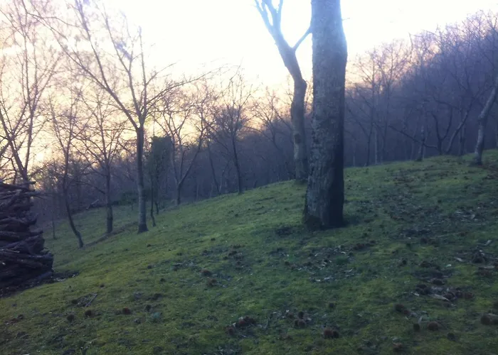 Silvia 3* Acquasanta Terme